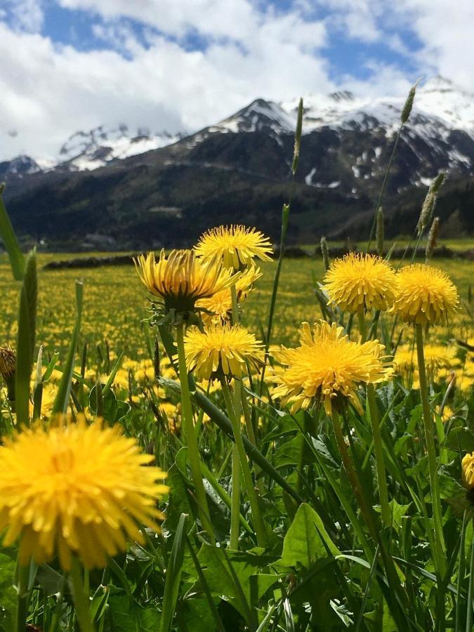 B&B Gottardo Airolo Exteriér fotografie